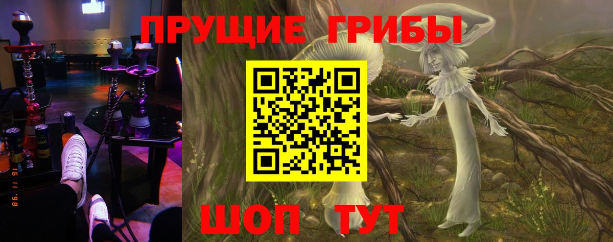 Галлюциногенные грибы MAGIC MUSHROOMS  Вход с VPN  Петропавловск-Камчатский 